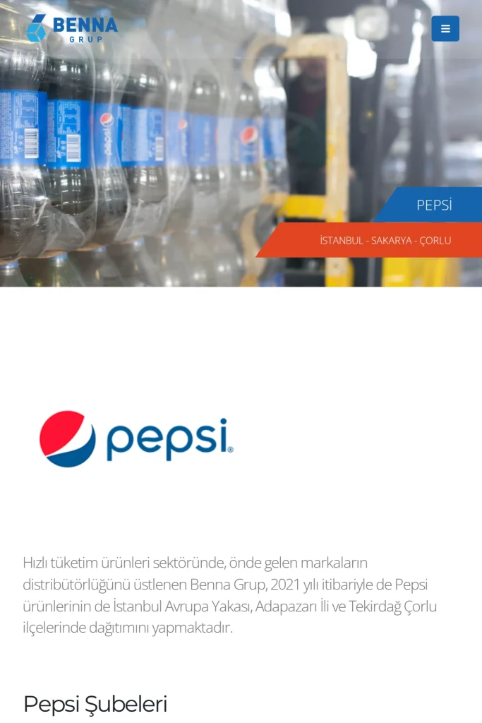 Benna Grup Kurumsal Web Sitesi ve Proje Tanıtımı tasarım detayı