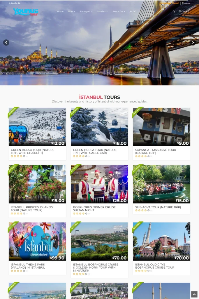 Younus Tour Web Sitesi ve Tur Kataloğu tasarım detayı