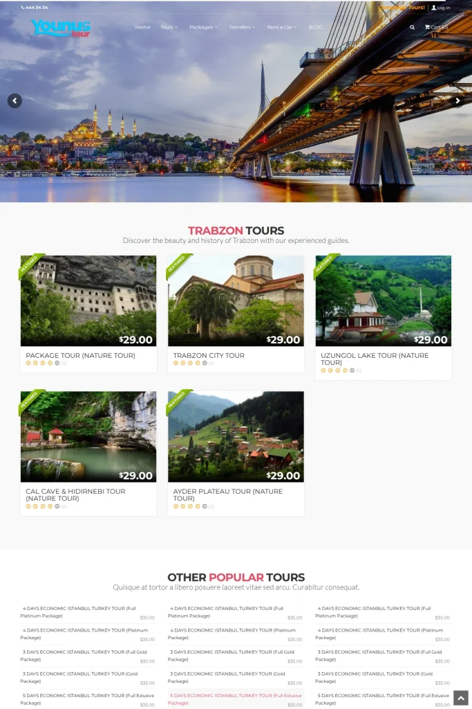 Younus Tour Web Sitesi ve Tur Kataloğu tasarım detayı
