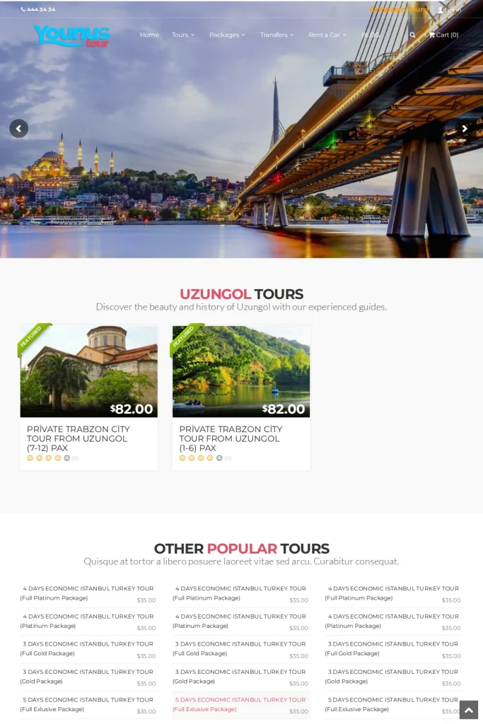 Younus Tour Web Sitesi ve Tur Kataloğu tasarım detayı