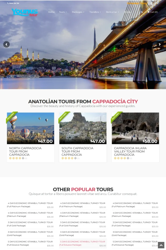 Younus Tour Web Sitesi ve Tur Kataloğu tasarım detayı