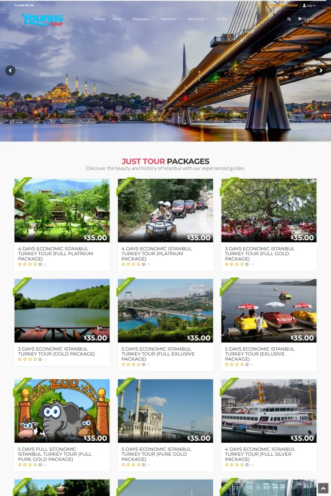 Younus Tour Web Sitesi ve Tur Kataloğu tasarım detayı