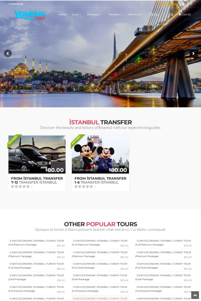 Younus Tour Web Sitesi ve Tur Kataloğu tasarım detayı